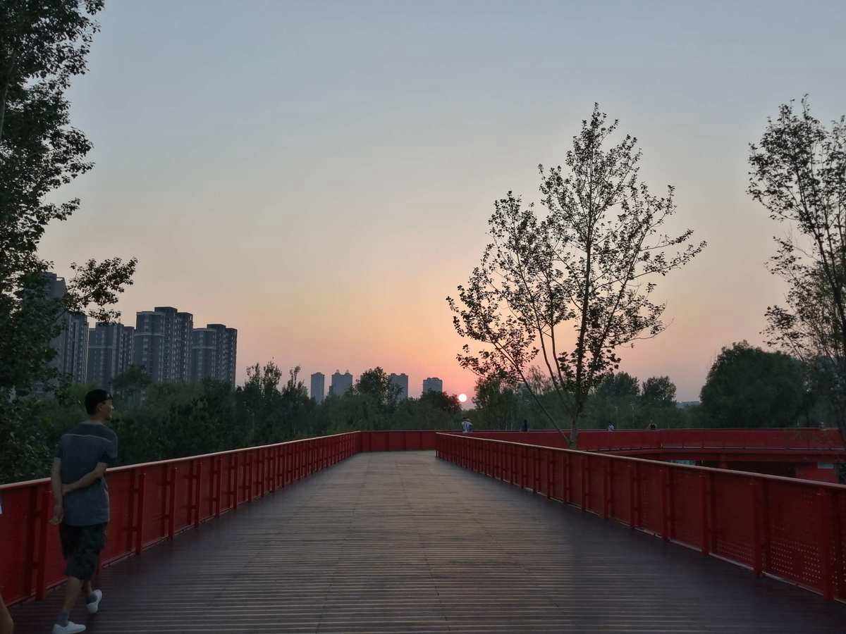 青石板踏步石，汀步石花園草坪庭院裝飾園林景觀防滑踏腳石鋪路地