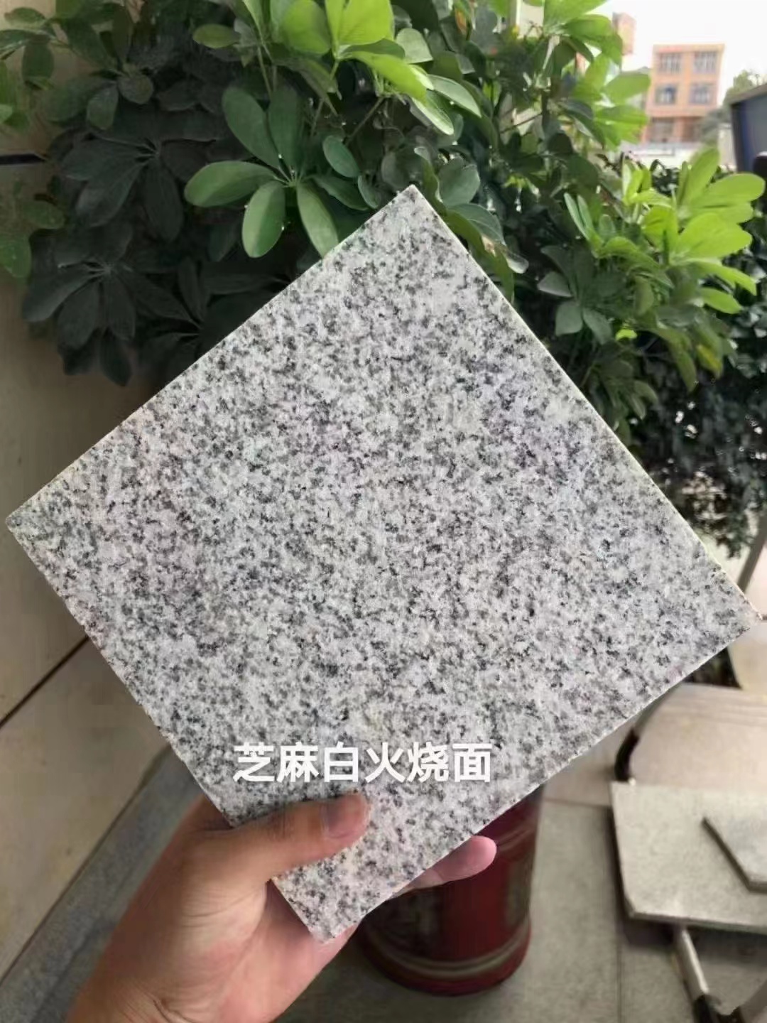 3公分芝麻白石材價格一平方質量與價格關系
