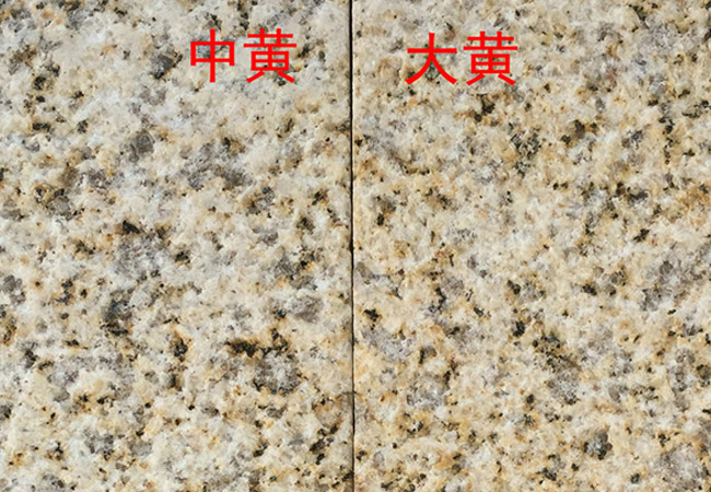 荔枝面五蓮紅