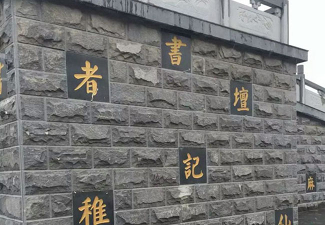 山東黃金麻荔枝面(圖2)
