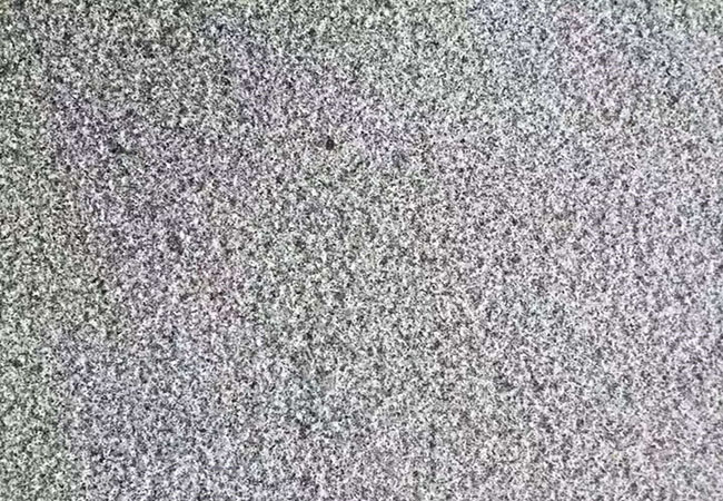 芝麻黑蘑菇面價格行情多少